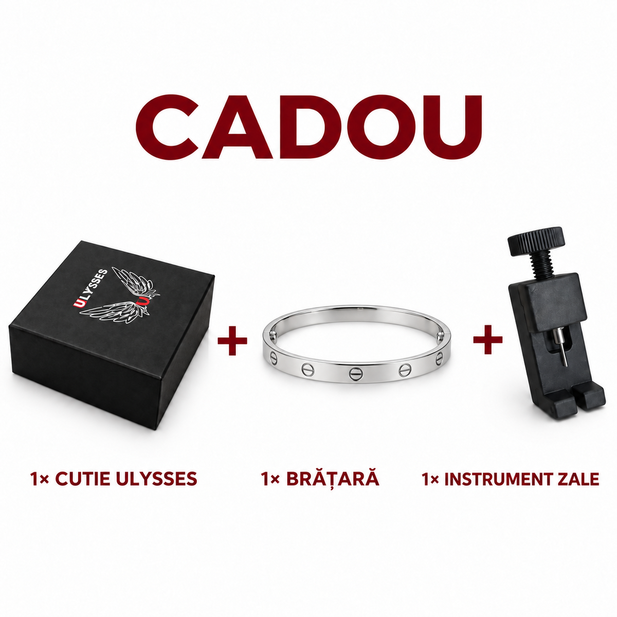Cadou pentru ceas Ulysses: cutie, o brățară și instrument pentru zale